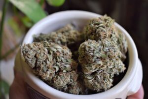 How to use great deals to purchase the cannabis products?
